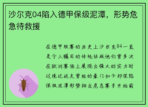 沙尔克04陷入德甲保级泥潭，形势危急待救援